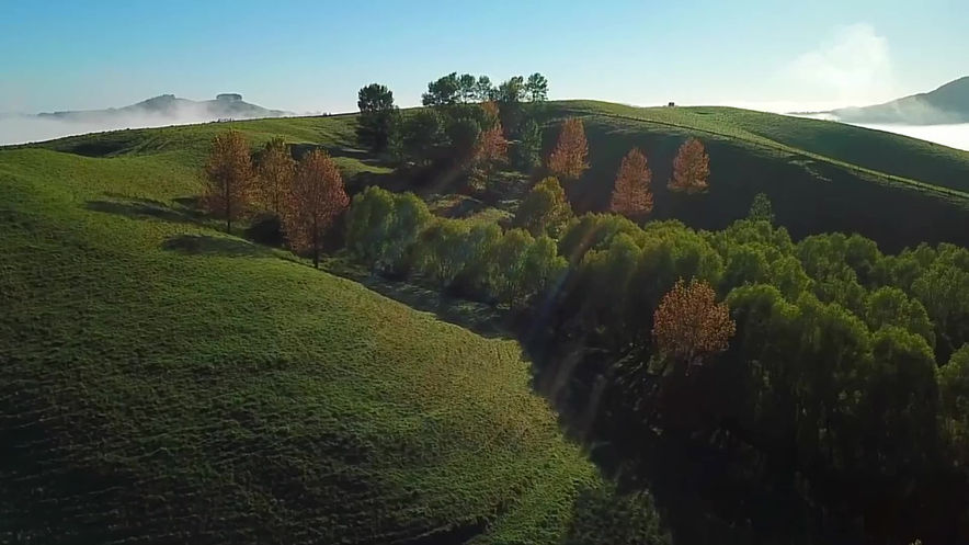 Te Mata - HHB